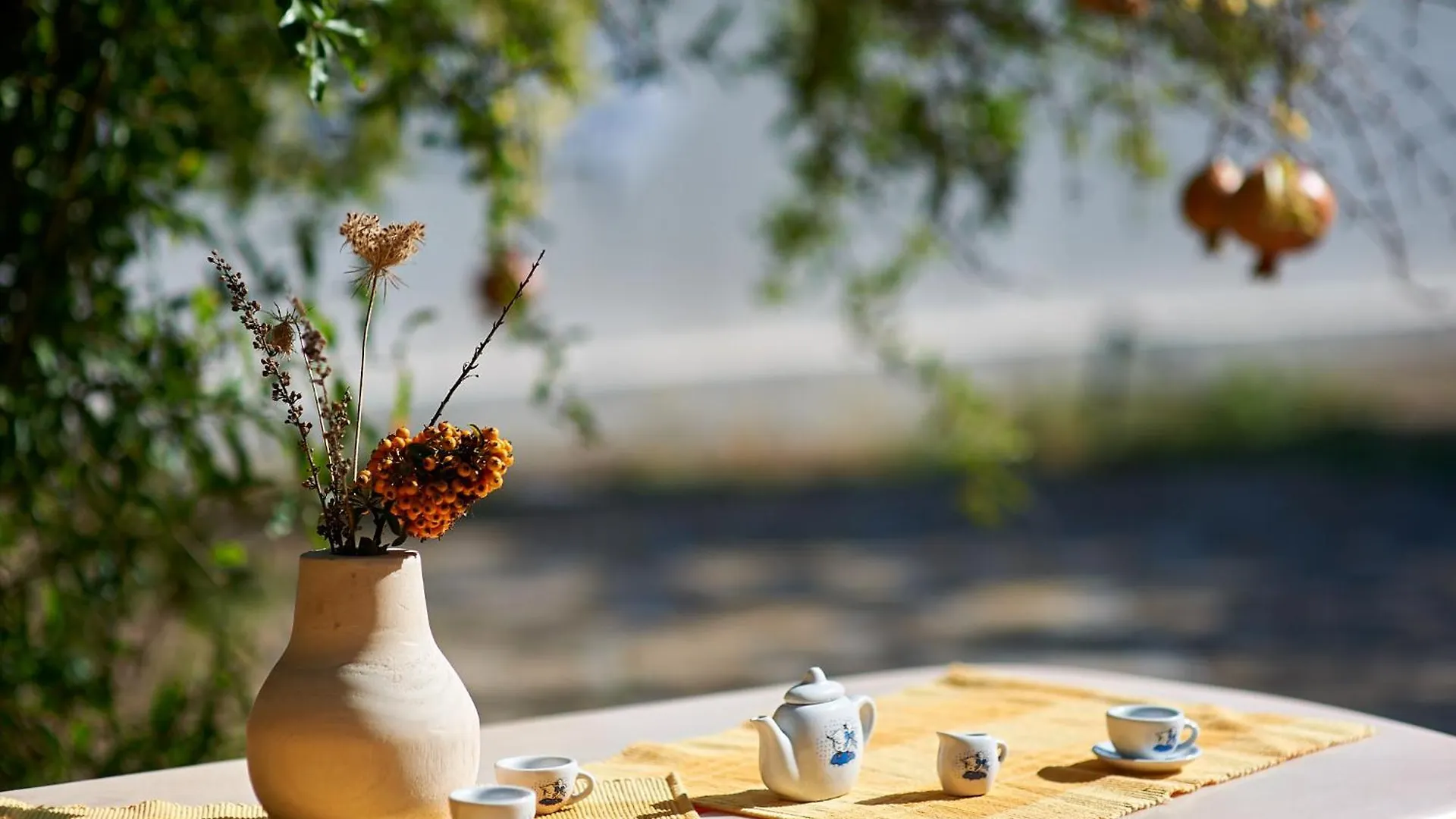 Guest House Dima Sozopol Hotel